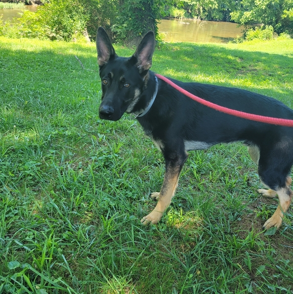 Hello! Thank you for visiting our closet! - Picture 9 of 10